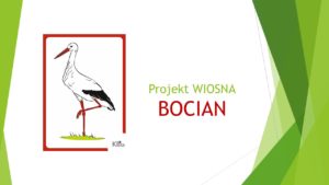 Bocian – scenariusz (e-wydanie)